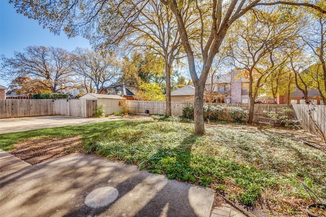 view of yard featuring a shed and a patio area