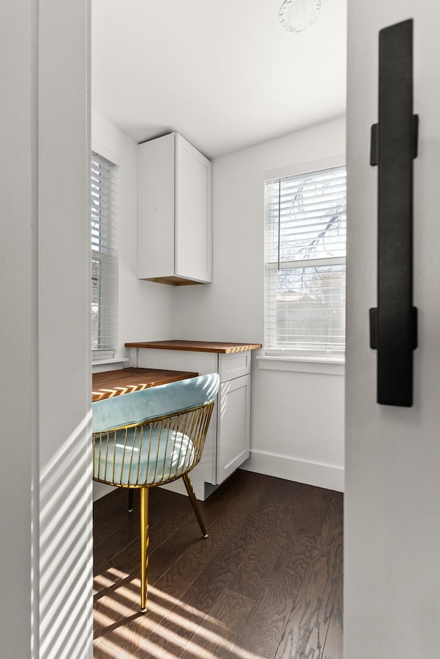 interior space featuring dark hardwood / wood-style floors