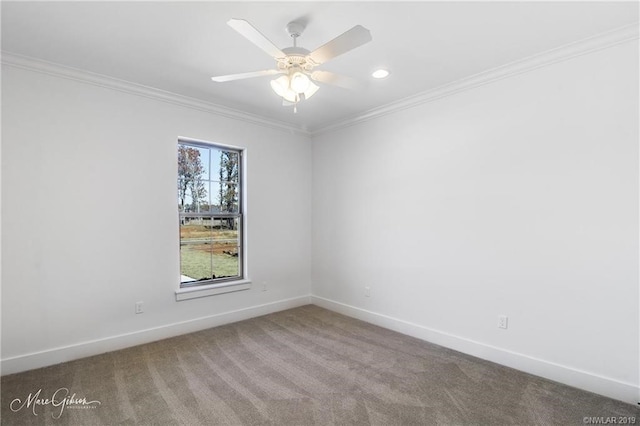 spare room with ceiling fan, carpet floors, and crown molding