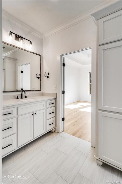 bathroom featuring vanity, hardwood / wood-style flooring, and ornamental molding