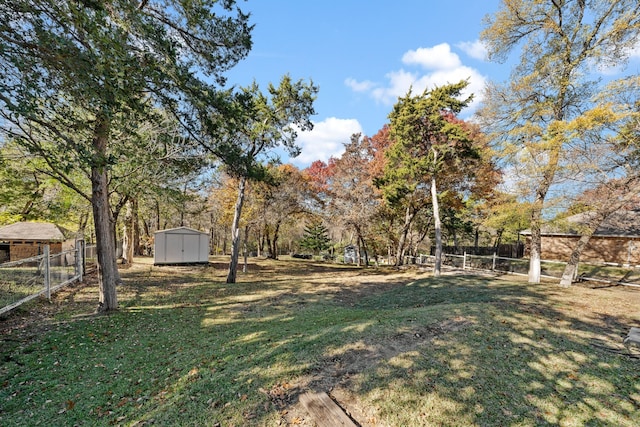 view of yard featuring a storage unit