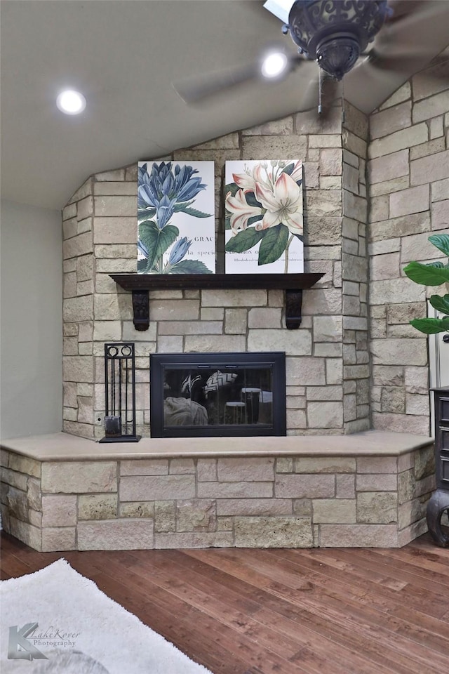 details featuring a fireplace and wood-type flooring