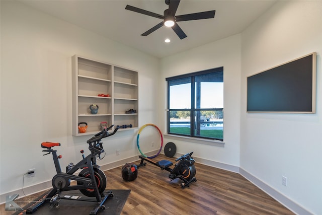 exercise room with ceiling fan and wood-type flooring