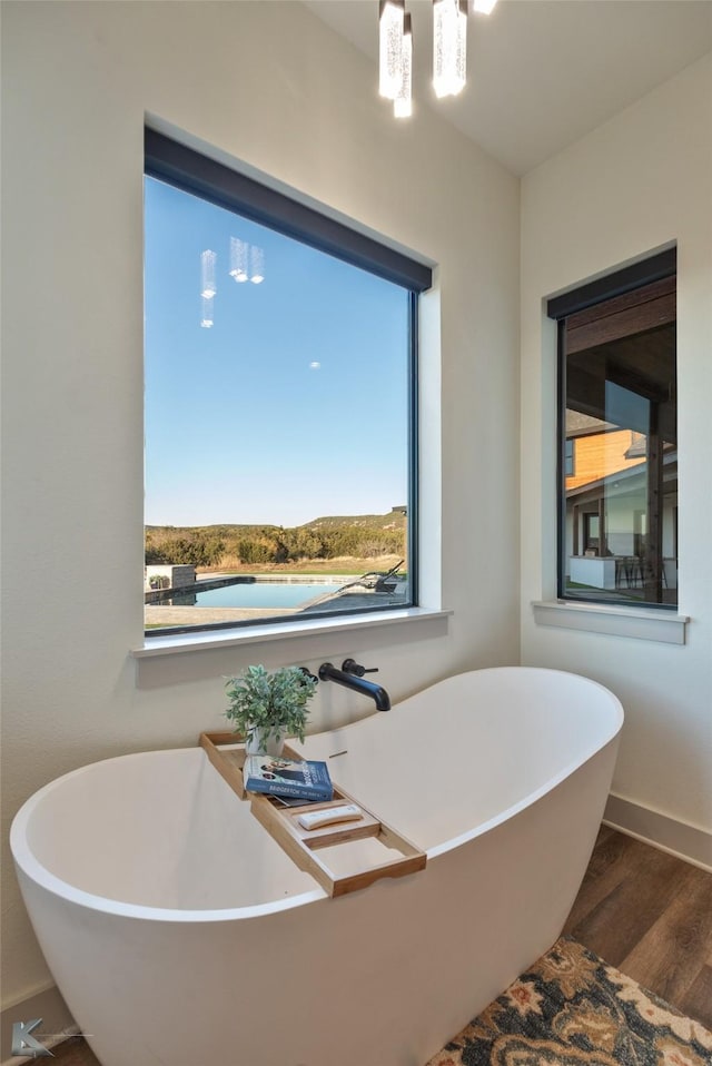 bathroom with a washtub and wood-type flooring