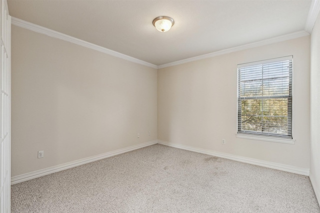 spare room featuring carpet flooring and crown molding