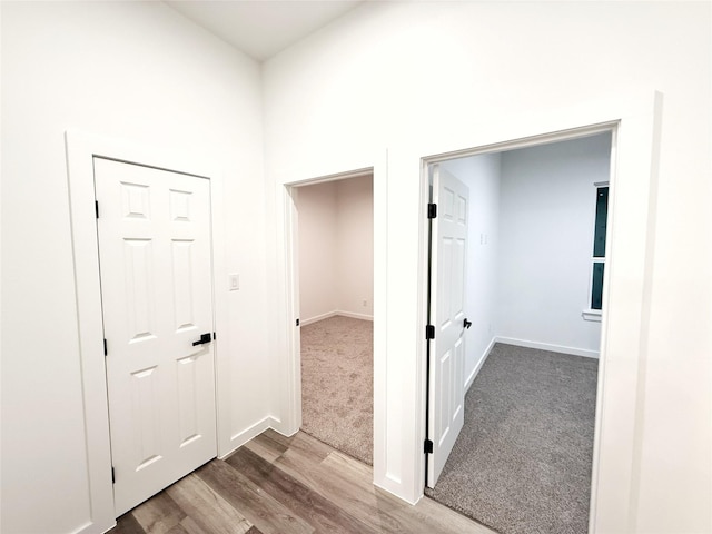 spare room featuring carpet flooring and ceiling fan