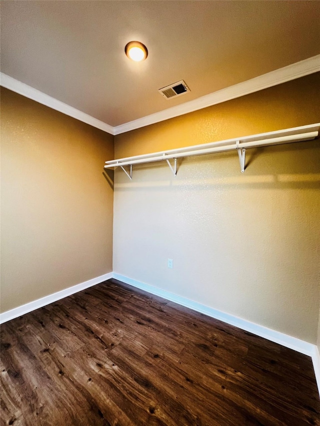 spacious closet with dark hardwood / wood-style floors