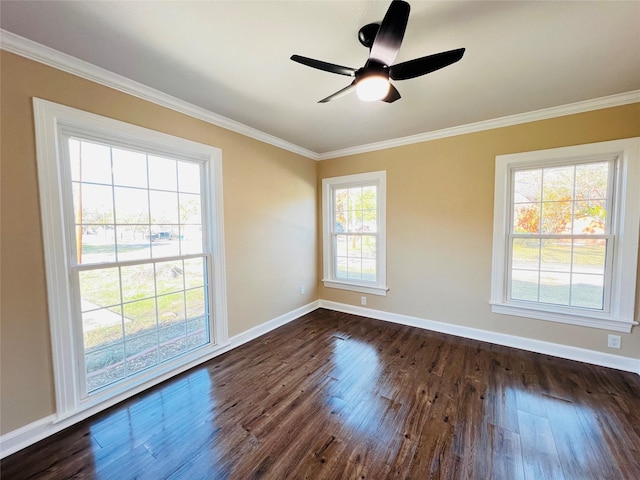 spare room featuring ornamental molding and dark wood-type flooring