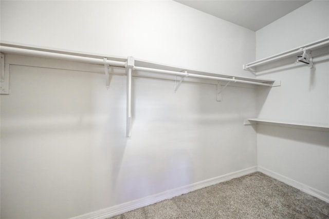 walk in closet featuring carpet