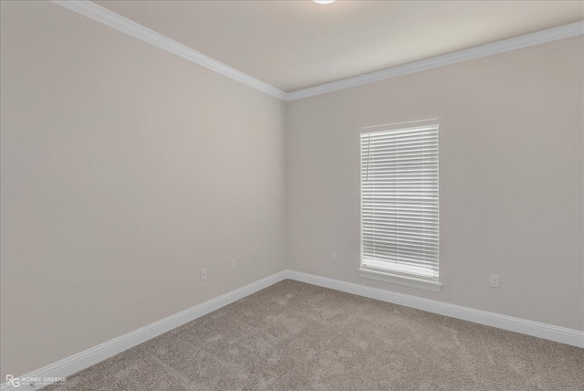 carpeted spare room featuring crown molding