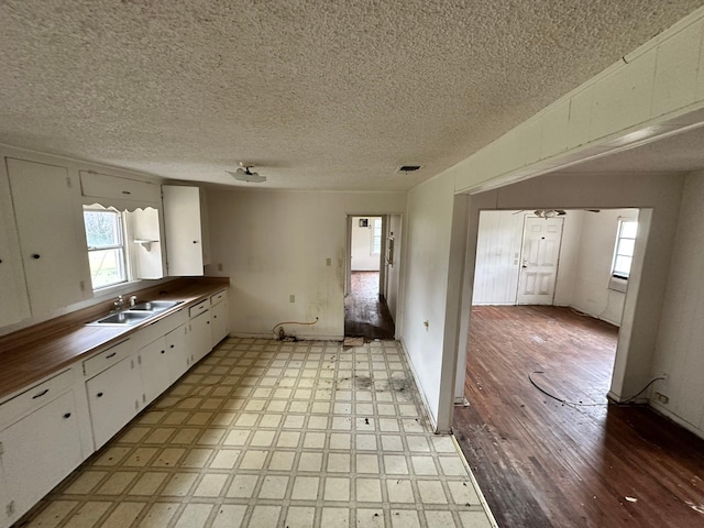 kitchen featuring a wealth of natural light, white cabinets, and sink