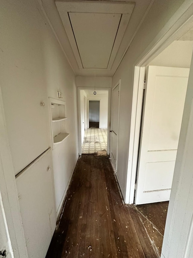 corridor with dark hardwood / wood-style floors