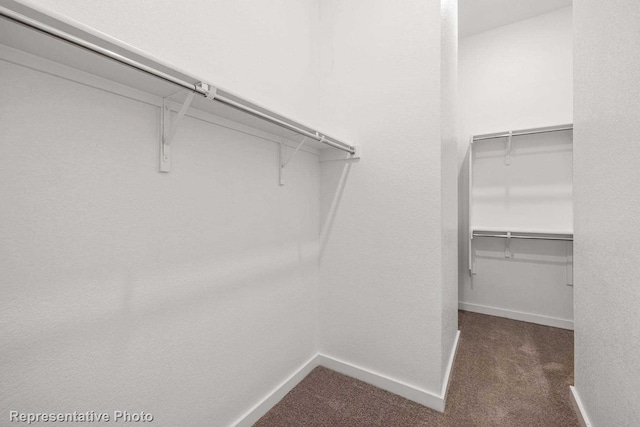 spacious closet with dark colored carpet