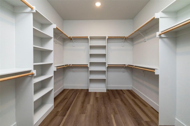 walk in closet featuring dark hardwood / wood-style floors