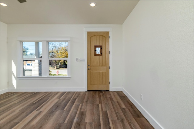 entryway featuring dark hardwood / wood-style flooring