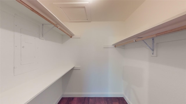 walk in closet featuring dark hardwood / wood-style flooring and electric panel