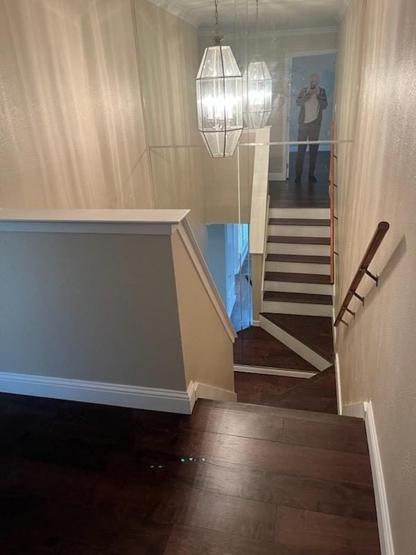 staircase with a notable chandelier, wood-type flooring, and ornamental molding