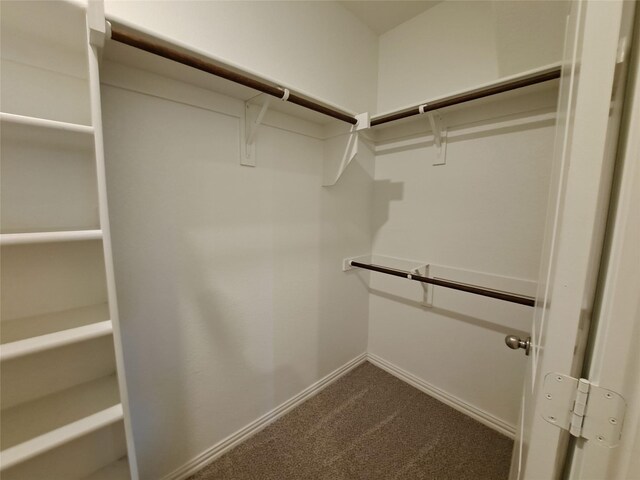 spacious closet featuring carpet floors