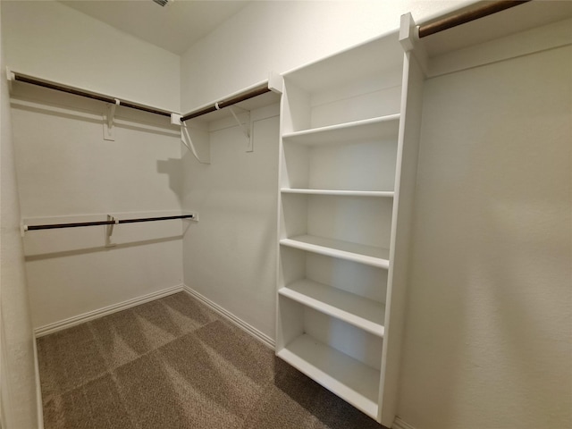 walk in closet featuring carpet flooring