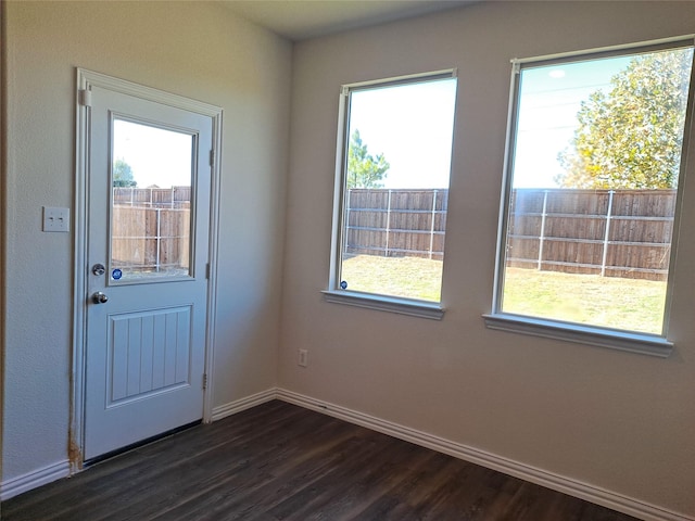 doorway featuring dark wood-type flooring