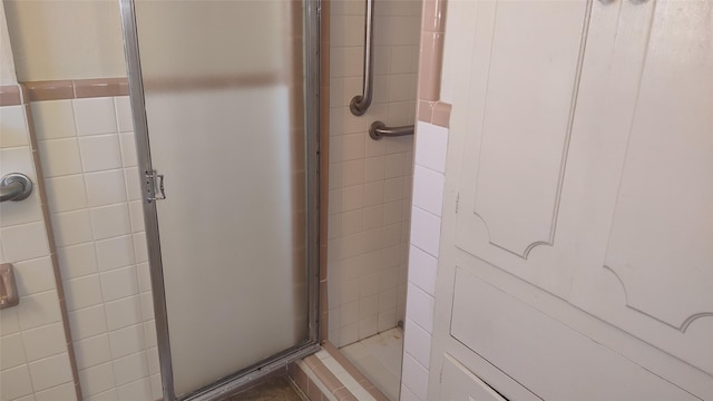 bathroom featuring a shower with shower door