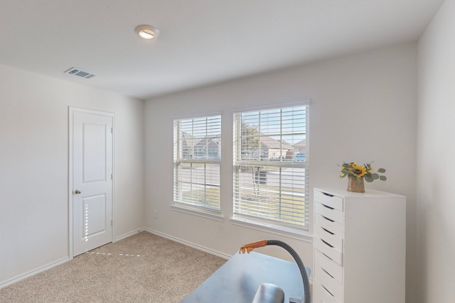 office with light colored carpet