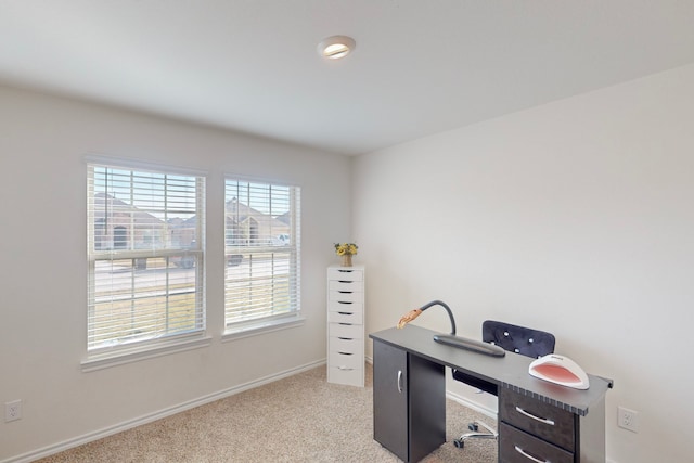 office space with light colored carpet