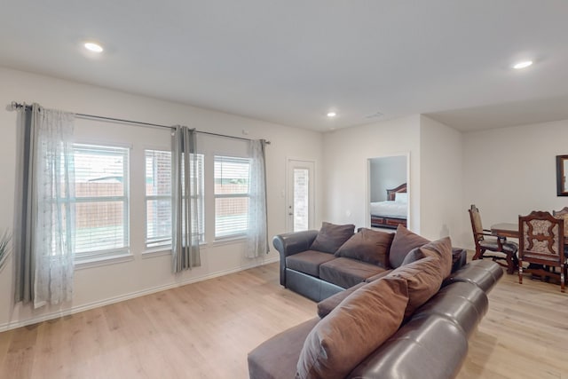 living room featuring light hardwood / wood-style flooring