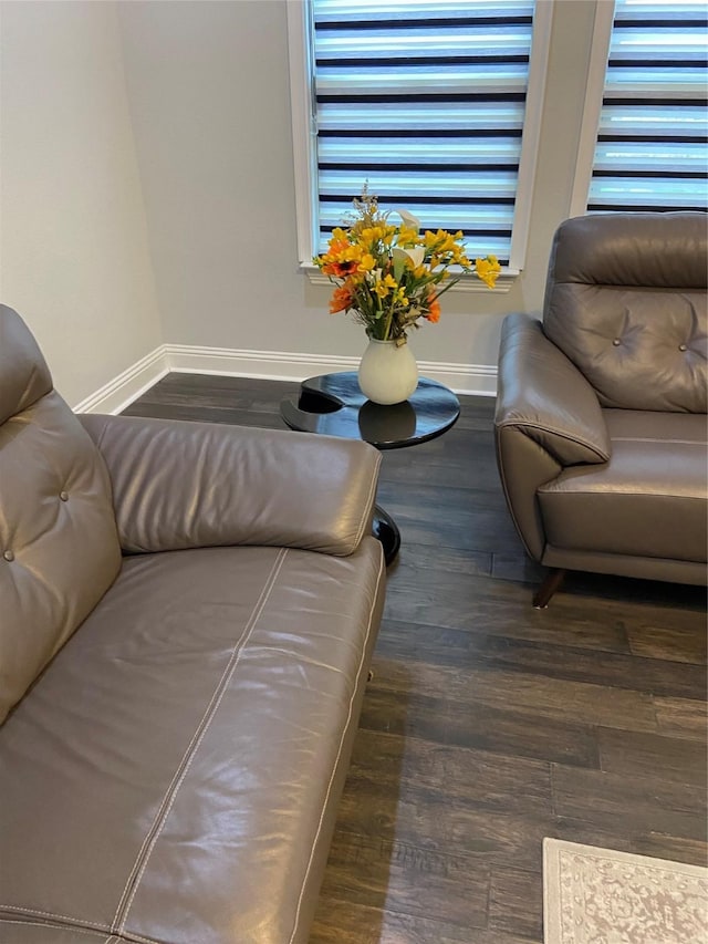 living room featuring dark wood-type flooring