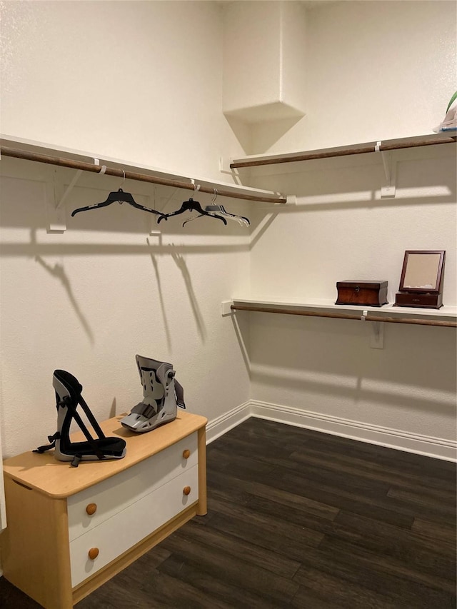 walk in closet featuring dark hardwood / wood-style floors