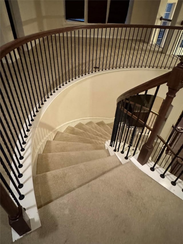 stairs featuring carpet flooring