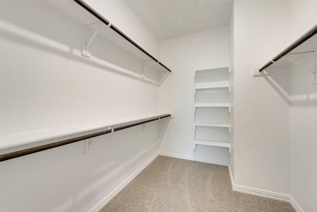 spacious closet featuring light carpet