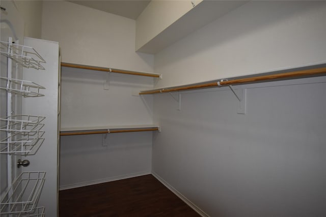 spacious closet featuring dark hardwood / wood-style floors