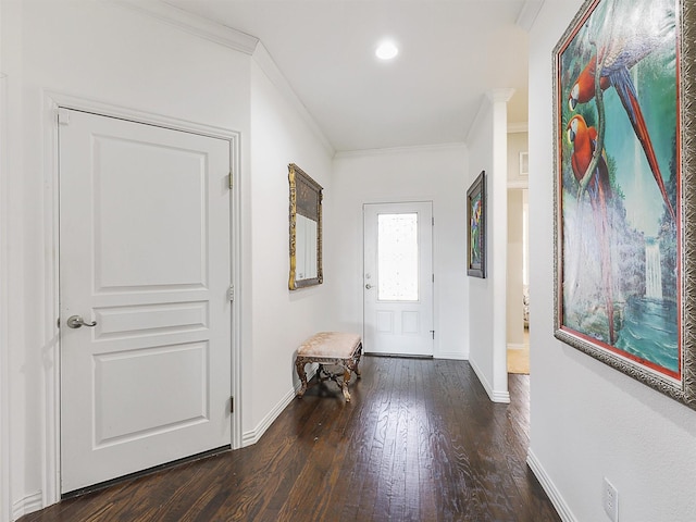 foyer entrance featuring dark hardwood / wood-style flooring and crown molding