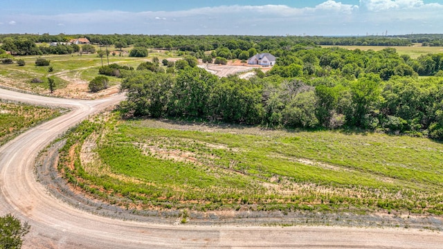 TBD45 Leo Ln, Poolville TX, 76487 land for sale