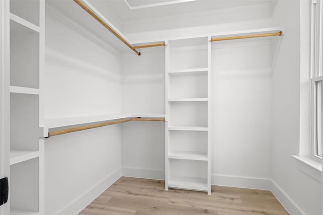 spacious closet featuring light hardwood / wood-style floors