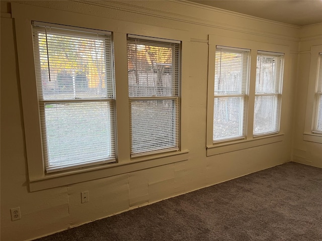 carpeted empty room with crown molding