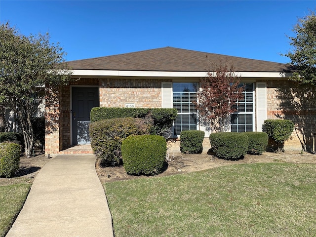 ranch-style house with a front yard