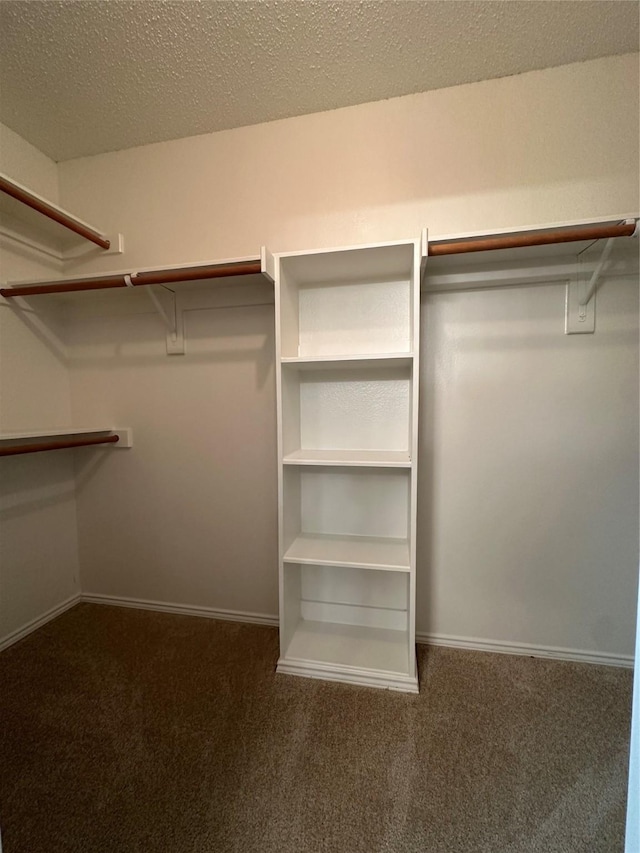 spacious closet with dark colored carpet