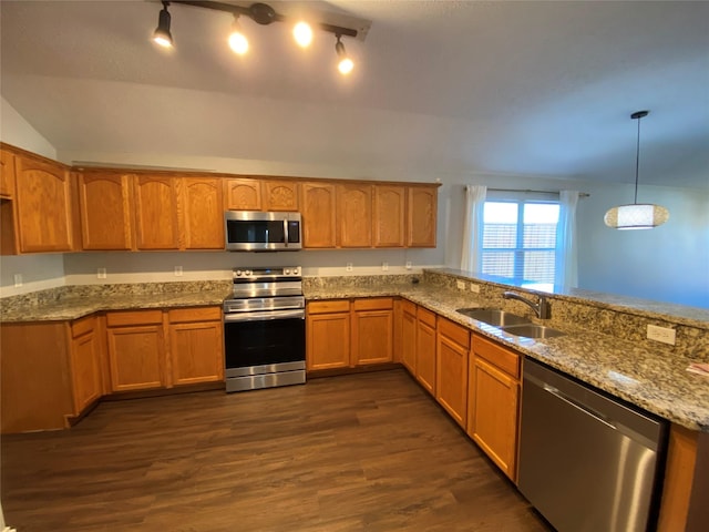 kitchen with dark hardwood / wood-style flooring, sink, stainless steel appliances, and hanging light fixtures