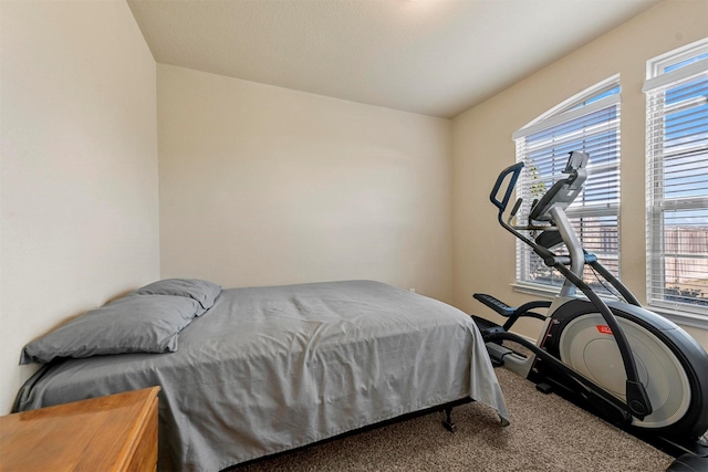 bedroom featuring carpet flooring