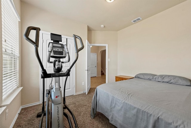 bedroom featuring carpet floors and multiple windows