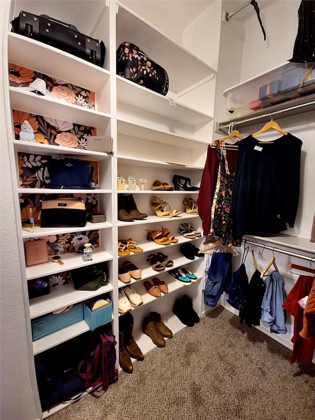 spacious closet featuring carpet