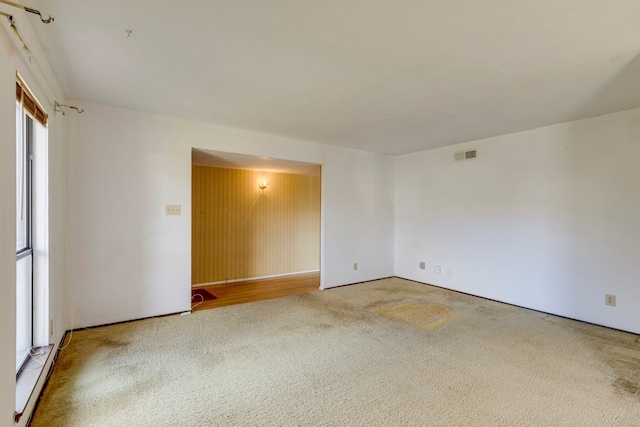 spare room featuring carpet flooring and a wealth of natural light