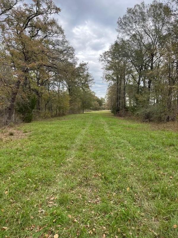 Listing photo 2 for AN County Road 493, Cayuga TX 75148