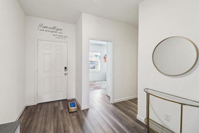 entryway with dark wood-type flooring