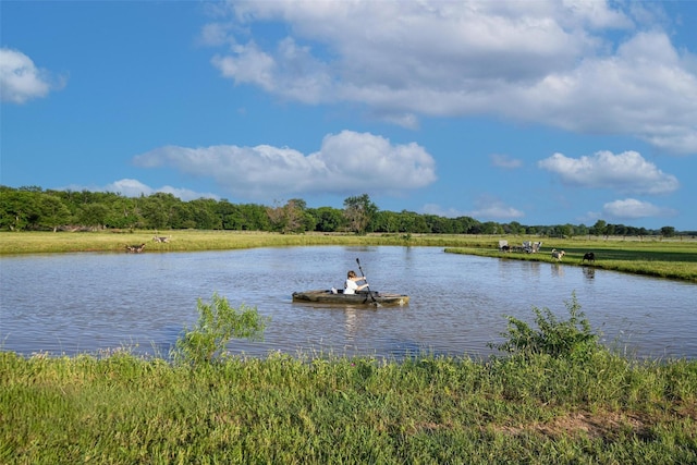 12201 Madison Ln, Justin, TX 76247 - water view