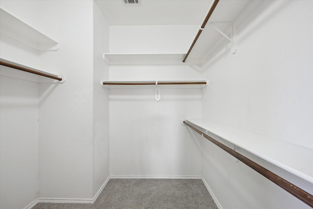 spacious closet with carpet floors