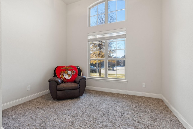 living area featuring carpet floors and baseboards