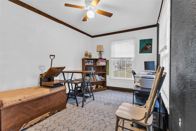 carpeted office with ceiling fan and crown molding